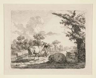 Schafe auf einer Wiese