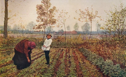 Das Veilchenfeld, 1867, ca. 1915
