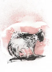 Dynamische Katzenskizze