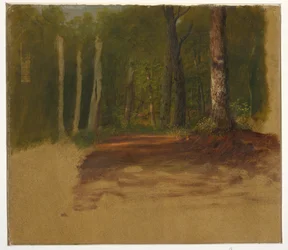 Ein Weg in den Wald