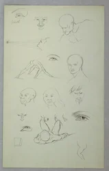 Anatomische Studien