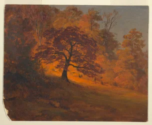 Herbstlaub
