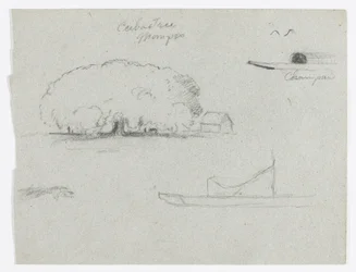 Ceiba-Baum in Mompos, Champan-Kanu, Bäume und ein Teil eines Bootes, Rio Magdalena, Kolumbien