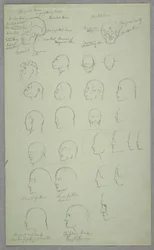 Anatomische Studien, 1865–1870