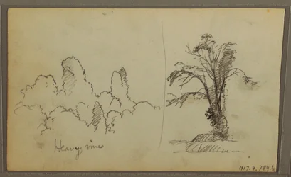 Vögel, "Felsen in der Panama-Bucht"; Rückseite: "Schwere Reben", 15. Mai 1857
