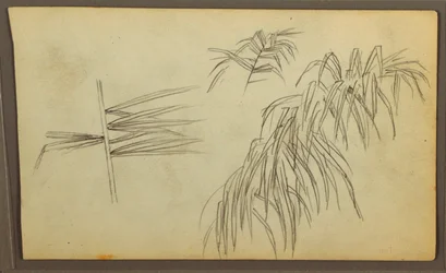 Botanische Skizzen, 1857