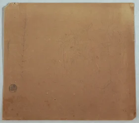 Zeichnung, Botanische Skizzen, Möglicherweise Bambus, Palmen und Büsche, Ecuador oder Kolumbien, 1853 oder 1857