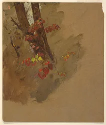 Zeichnung, Botanische Studien, 1860–70