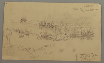 Kamele trinken auf einem Hügel, 22. Februar, möglicherweise 1868