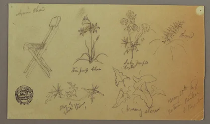 Zeichnung, Stuhl- und Pflanzenstudien, 15. Mai 1868