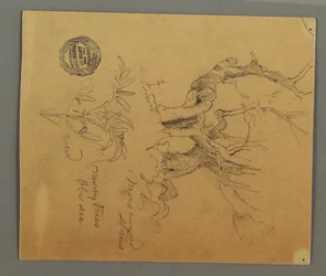Zeichnung, tote Bäume, Pflanze, möglicherweise 1868