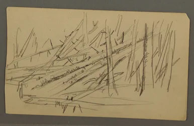 Zeichnung, Gefallene Bäume, möglicherweise 1877
