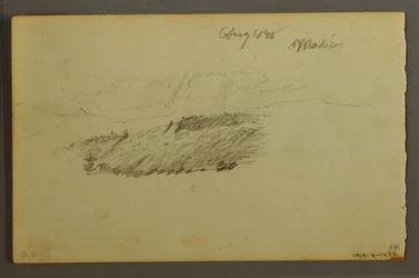 Haus, Segelboot, Pflanze