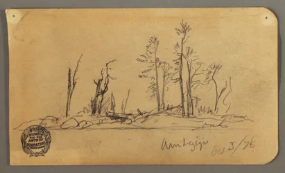 Insel, 1878