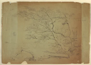 Landschaft mit Bäumen und einem Bach [?], Grand Manan Island, Kanada, September 1851