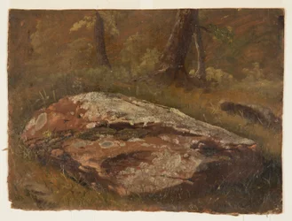 Moosiger Felsen