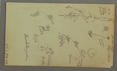 Zeichnung, Bergstudie, möglicherweise 1868
