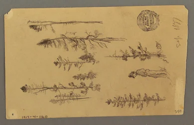 Zeichnung, Berggipfel, 1877