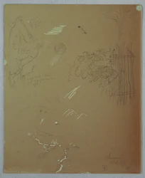 Zeichnung, Naturstudien, Blue Mountains, Jamaika, Juli 1865