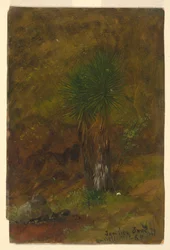 Palmen, Juli 1865