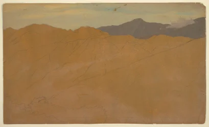 Palmen und Hausdächer, Ecuador, Mai 1857