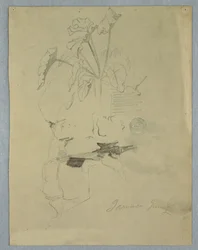 Philodendron [?] über einem Felsen wachsend, Jamaika, Juni 1865