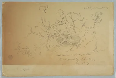 Studien von Bäumen und Felsen, Straße nach Mocho in der Nähe von Chimborazo, Ecuador, 16. Juni 1857