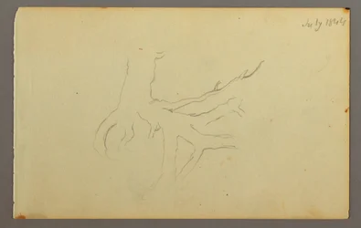 Zeichnung, Baumwurzeln, 1844