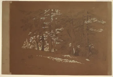 Bäume, Berchtesgaden, Bayern, 1868
