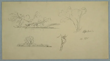Bäume, ein Ufer mit Büschen und Bäumen, September 1876