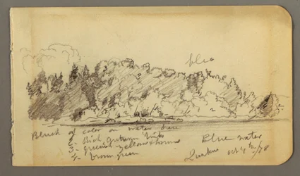 Zeichnung, Bewaldetes Ufer, Wasser, 1878