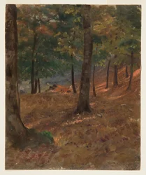Zeichnung, Waldszene, 1870–80