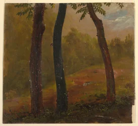 Zeichnung, Waldszene, Jamaika, 1865