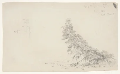 Immergrüner Baum in der Nähe des Ufers mit einem Detail des Leuchtturms und eines Hauses, Mount Desert, Maine