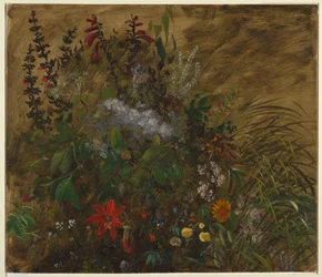 Blumen in Jamaika