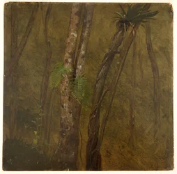Landschaft in Jamaika