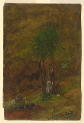 Palmen, Jamaika