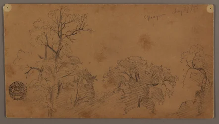 Baumkronen, Niagara