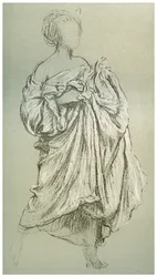 Studie der Daphnephoria
