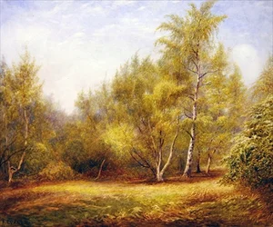 Epping Forest bei Buckhurst Hill