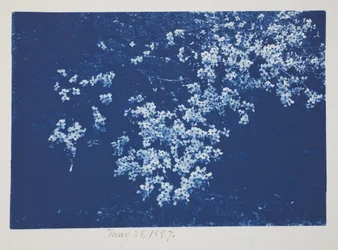 Ohne Titel, 25. Mai