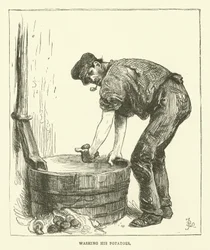 Seine Kartoffeln waschen