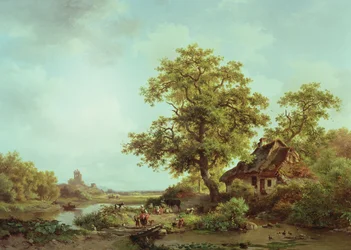 Eine bewaldete Landschaft