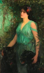 Die Schwarze Orchidee, 1907