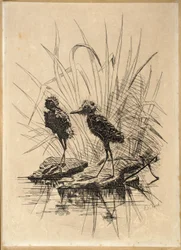 Zwei Vögel