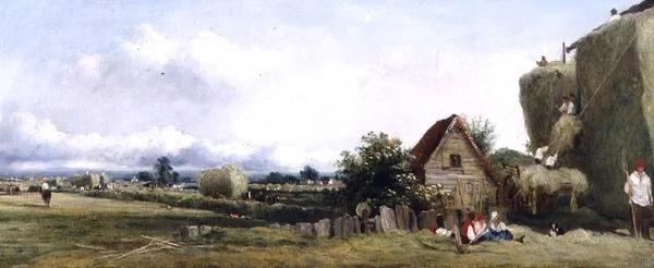 Heuernte