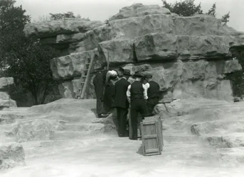 Eine Gruppe von Wärtern packt heilige Paviane zwischen den Felsen des 
