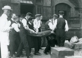 Ein Team von Männern trägt einen Alligator, überwacht von Sir Peter Chalmers Mitchell, Londoner Zoo, 1924