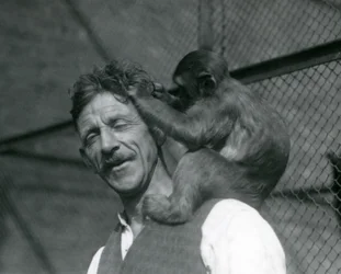 Ein junger Affe, der das Haar des Pflegers Flewin pflegt, London Zoo 1928