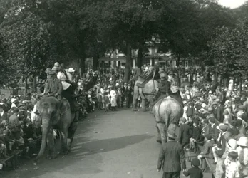 Elefantenritte, mit drei asiatischen Elefanten, beobachtet von Menschenmengen im London Zoo im August 1926